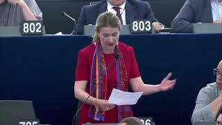 MEP Stihler passionately speaks out against Article 13