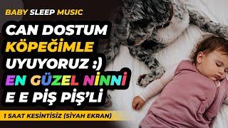 Can Dostum Köpeğimle Uyuyoruz  En Güzel Ninni Piş Piş li - Lullaby - Baby Sleep Music