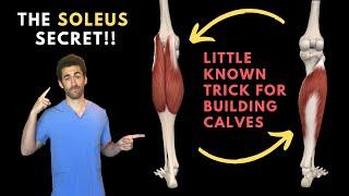 The Soleus Secret The Anatomy behind Calf Definition and Volume