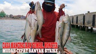 Cara Mancing Ikan Sumbal Monster Mudah Cepat Banyak Strike  Fun Fishing Indonesia