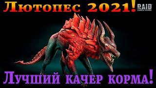 Raid Shadow Legends  ЛЮТОПЕС  2021   Как сделать лучшего качера корма