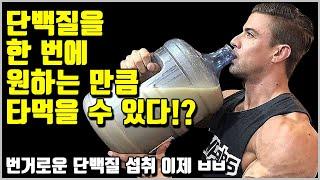 단백질 섭취엔 상한이 없다? 단백질 섭취 최신 논문