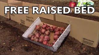 Planting POTATOES in a FREE RAISED GARDEN BED