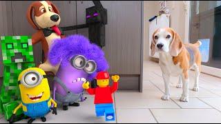 Animations in REAL LIFE vs Funny Dogs   Minions - LEGO - Minecraft