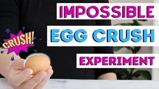 Breaking An Egg With One Hand Experiment  Impossible Egg Crush Experiment  Egg Experiment For Kids