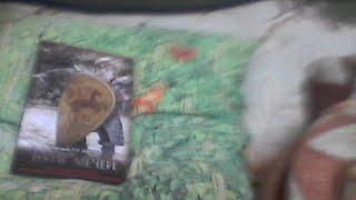 Книга Джорджа Мартина Буря Мечей на подушке