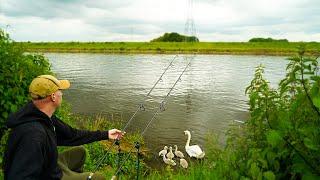Will we catch barbel on the river? - A Fishing Adventure