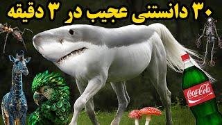 دانستنی های جالب  30 دانستنی عجیب برای افزایش اطلاعات عمومی در 3 دقیقه