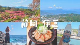 日本旅遊Vlog｜静岡富士山｜伊豆高原｜大室山，小室山，杜鵑花園，城ヶ崎海岸門脇吊橋｜伊東温泉｜日本生活