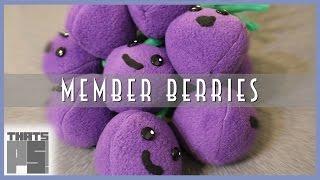 DIY Member Berries Plush