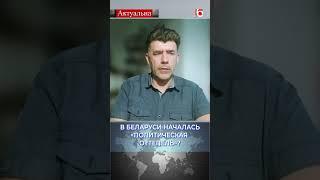 В Беларуси началась «политическая оттепель»?  Павел Усов #политика #беларусь #лукашенко #новости