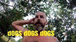 Dogs Dogs And More Dogs - Nipe Adventure - EP 88