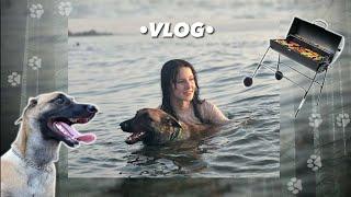 vlog поездка на озеро с собакой