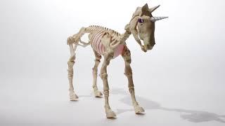 Animated Unicorn Skeleton