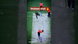 Shaheen shah afridi bowling #LahoreQalandars #PSLT20 #LLCT20 #psl82023 #psl8fainal #viralreels