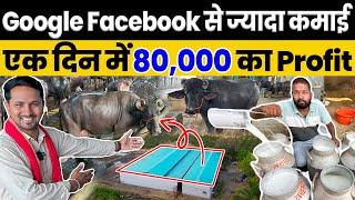 मुर्रा भैंस से होगी छप्पर फाड़ कमाईएक दिन में 1200 लीटर दूध  Indian Farmer