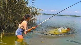 ТАКОГО ВЫ НЕ ВИДЕЛИ ДИКИЙ САЗАН ЗАТАЩИЛ ДЕВУШКУ В ВОДУ Сазан на боковой кивок. Рыбалка 2023