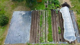 Market gardening for profit - update on my soon to be quarter acre market garden