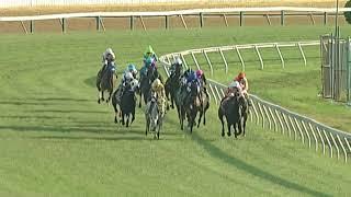 Coronavirus Horse Race