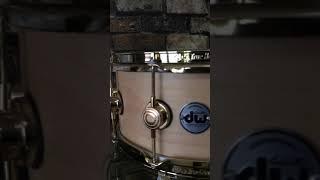 DW COLLECTORS SERIES 14x6 MAPLE STANDARD SNARE #dwdrums #shorts