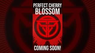 Early Preview - Perfect Cherry Blossom