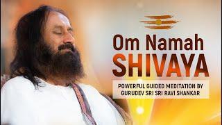 Powerful Om Namah Shivaya Chanting Meditation By Gurudev Sri Sri Ravi Shankar  Lord Shiva Mantra
