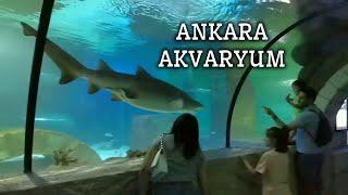 Aqua Vega Akvaryum  Ankarada Gezilecek Yerler