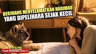 Kisah Wanita Yang Berjuang Menyelamatkan Harimau Peliharaanya  Alur Cerita Film TIGER ROBBERS