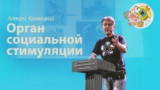 Алексей Кравецкий — Орган социальной стимуляции