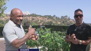 Mike Tyson discusses helping grow $44M mansion into Tyson Ranch