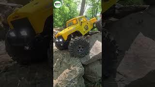 Element Ecto RC Crawler - Sommertreffen Stelzendorf 2024 #shorts #short #shortvideo