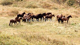#ユルリ島 – 岡田敦  Yururi Island Horses #11 – Hokkaido  Japan