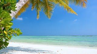 Maldives Meditation