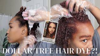 Trying Dollar Tree Hair Dye?  Color Eazy Hair Color Auburn