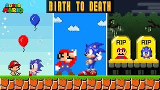 Mario and Sonics Birth to Death in Super Mario Bros.