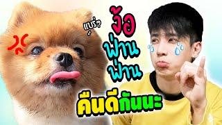 ง้อด่วน? ฟ่านๆงอลไม่อยากคุยกับปะป๊า l ก็ผมมีลูกเป็นหมา EP.132