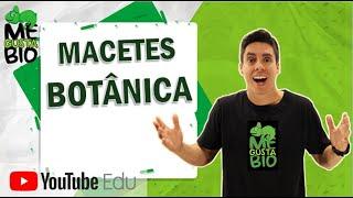 Macetes de Botânica