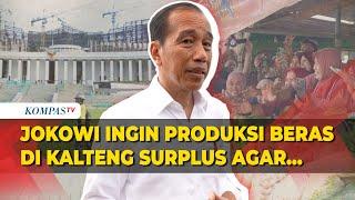 Jokowi Ingin Produksi Beras di Kalimantan Tengah Surplus Nanti Dibawa ke IKN