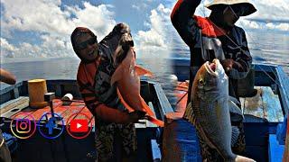 TEMPAT MANCING IKAN KAKAP MERAH YANG TIADA HABISNYA #fishing for red snapper