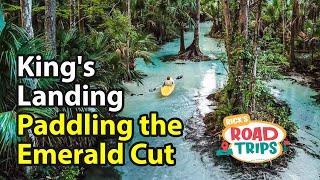 Kings Landing River Run  Kayaking & SUP Boarding the Emerald Cut  Incidents Ensue