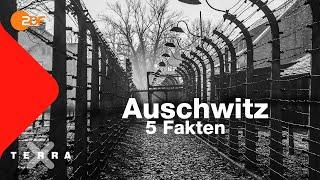 5 Fakten die ihr über Auschwitz wissen solltet  Terra X