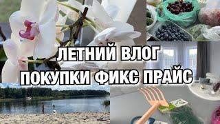 ЛЕТНИЙ ВЛОГ ПОКУПКИ ФИКС ПРАЙС ОПЯТЬ НОВЫЕ ШТОРЫ Будни Мамы Влог