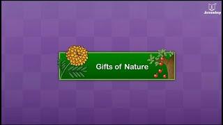 Gifts of Nature  EVS Grade 1  New Spark  Periwinkle