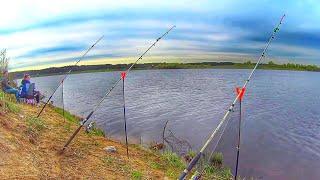 РЫБАЛКА на вечерней зорьке. РЫБАЛКА на ДОНКИ. ОТДЫХ на природе c детьми. Russian fishing