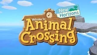 Animal Crossing  New Horizons dunkview