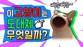 뻐끔뻐끔 고양이의 정체?팝캣 pop cat 고양이 밈