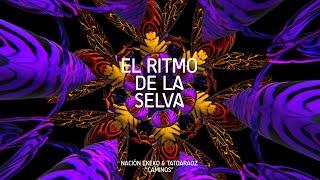 NACIÓN EKEKO - EL RITMO DE LA SELVA  Video Lyric 