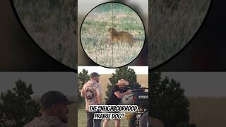 The “Neighbourhood Prairie Dog” ️   #hunting #varminting #airgun