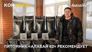 Питомник Алабай62 рекомендует полнорационный сухой корм для собак KORWOOD 2023