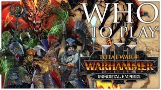 Who To Play First In Immortal Empires  Total War Warhammer 3